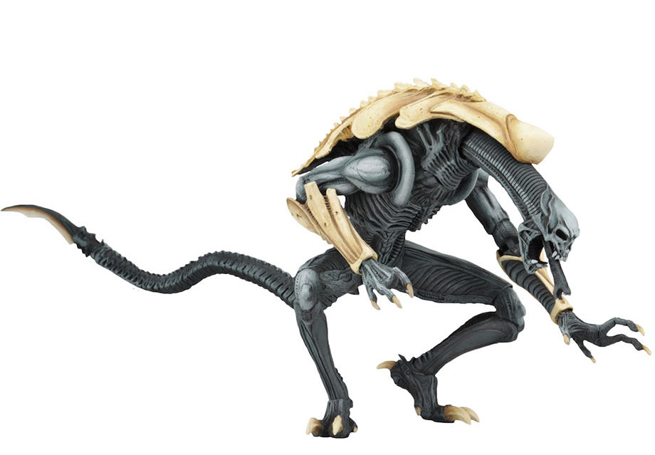 Chrysalis Alien  - Neca (Alien vs Predator) action figure collectible [Barcode 634482516782] - Main Image 2