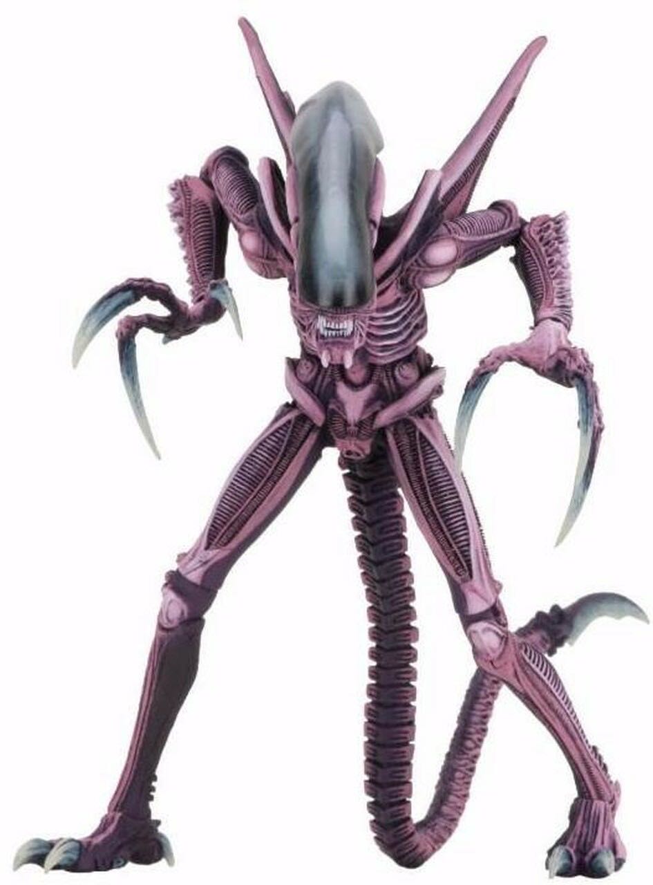 Alien Vs Predator Arcade - Razor Claws Alien - Neca (Alien vs Predator) action figure collectible [Barcode 634482516775] - Main Image 2