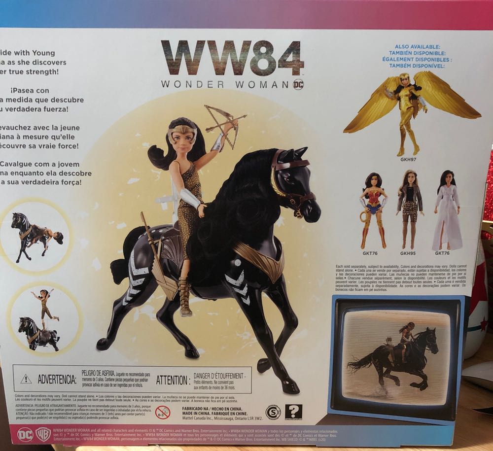 Wonder Woman 1984 Movie - Young Diana Prince Doll with Horse WW84 - DC Mattel (Wonder Woman 1984) action figure collectible [Barcode 887961828030] - Main Image 2