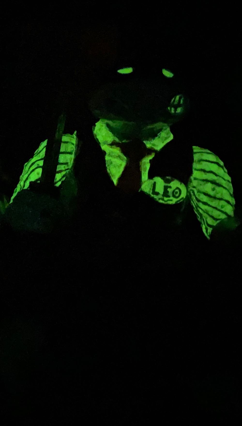 Mystic Manor Leonardo - Yuno Dyva (Teenage Mutant Ninja Turtles) action figure collectible - Main Image 4