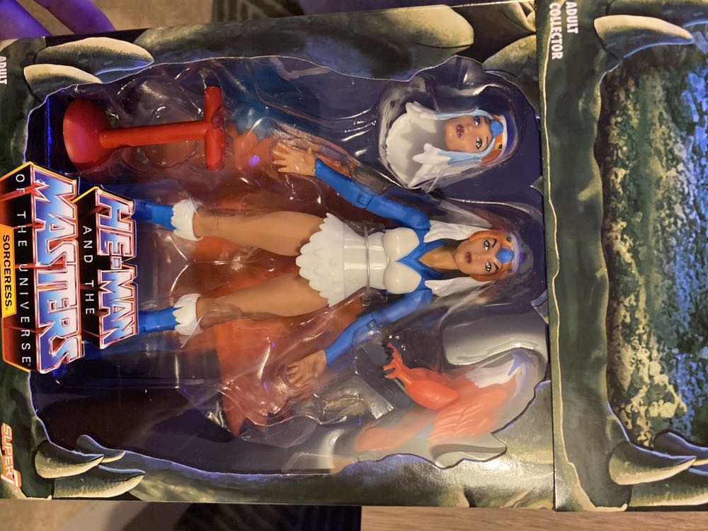Sorceress - Super7 (Masters Of The Universe) action figure collectible [Barcode 811169030421] - Main Image 2