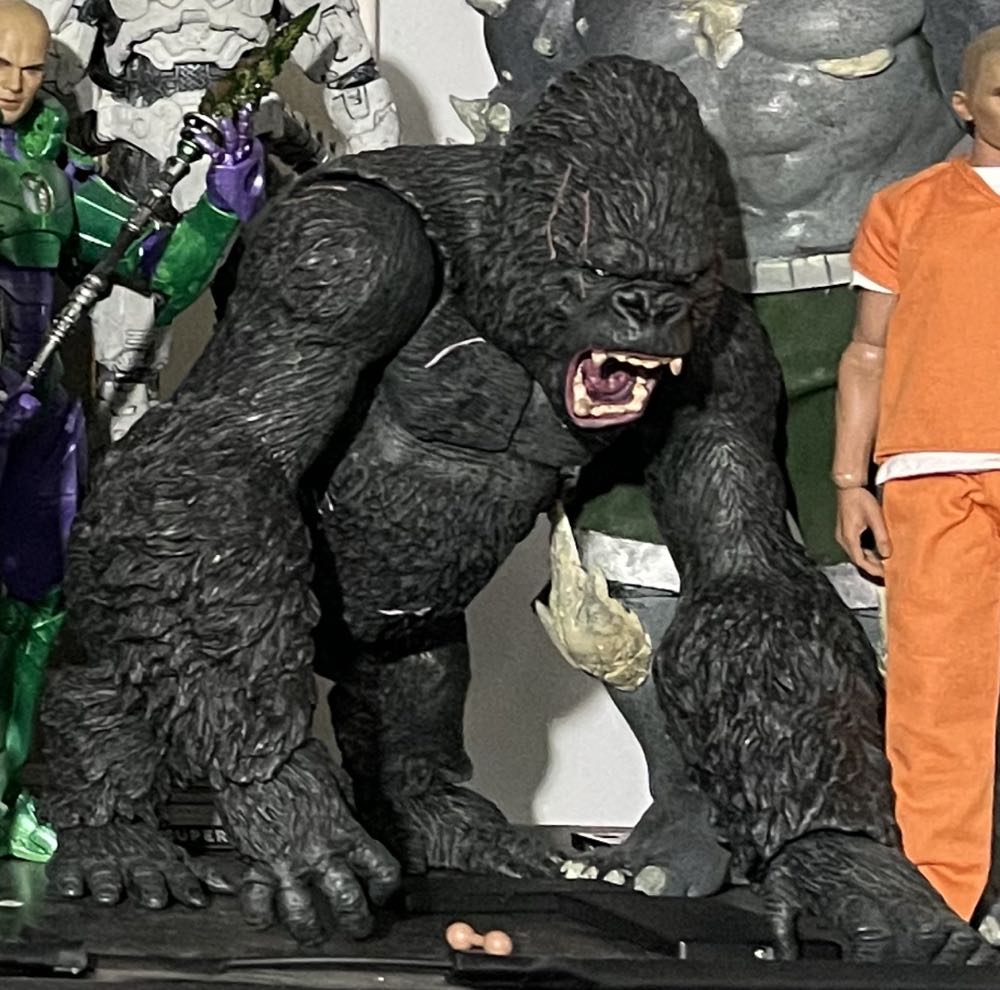 Gorilla Grodd - Unbranded (DC TV shows) action figure collectible - Main Image 3
