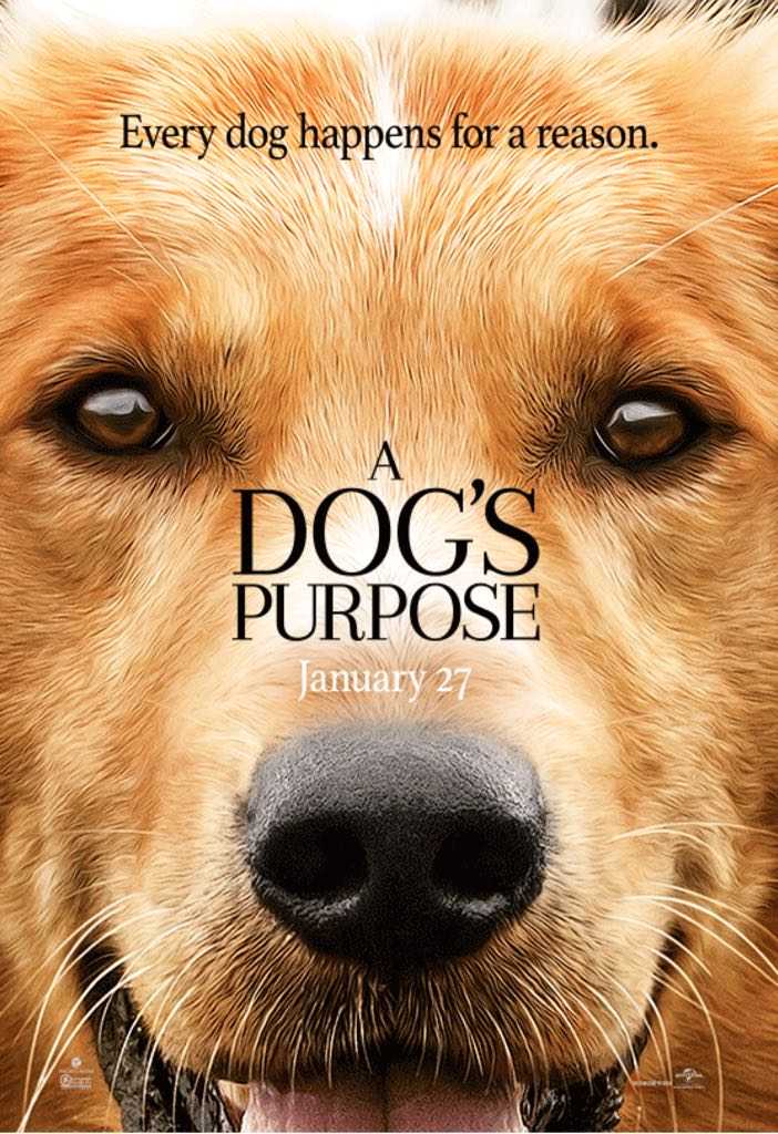 Saint Seiya Gold Cloth Pisces Aphrodire Vintage 2003