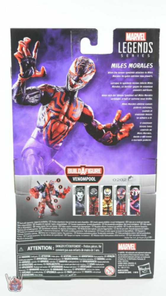 Marvel Legends Venomized Miles Morales - Hasbro (Spider-Man: Maximum Venom) action figure collectible - Main Image 4