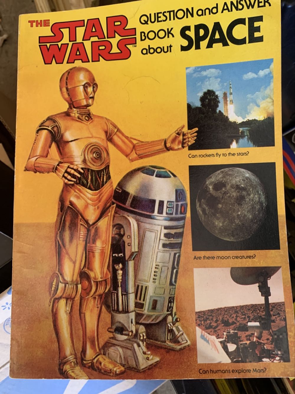 BANDAI SDX Neo Black Dragon