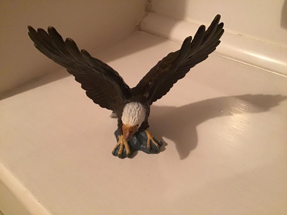 Image 111272