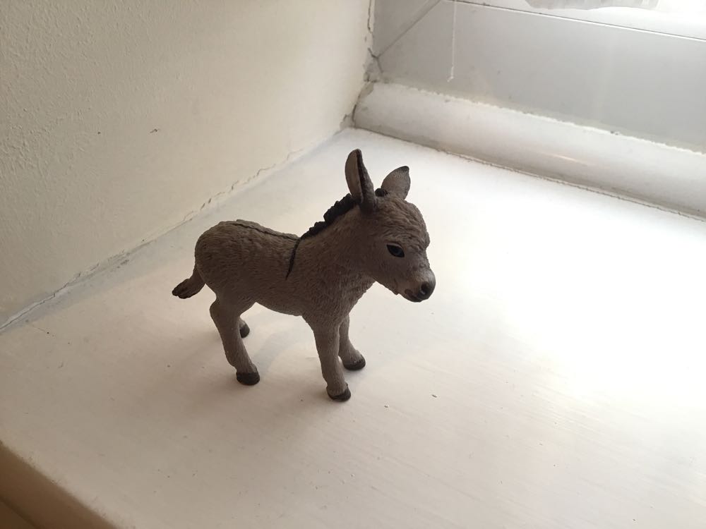 Image 111277