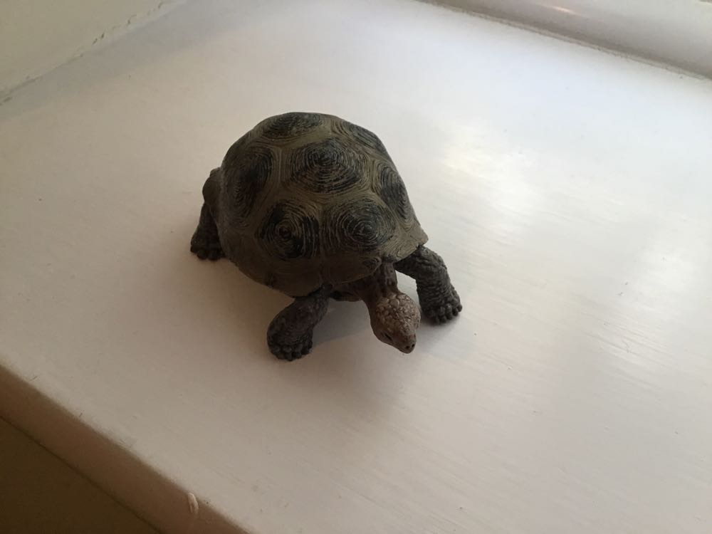 Image 111280