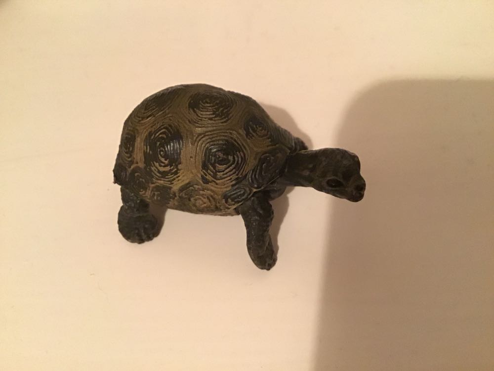 Image 111301