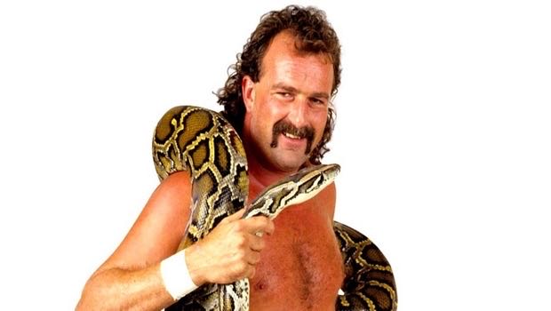 Jake “The Snake” Roberts - Mattel (WWE) action figure collectible [Barcode 887961906523] - Main Image 3