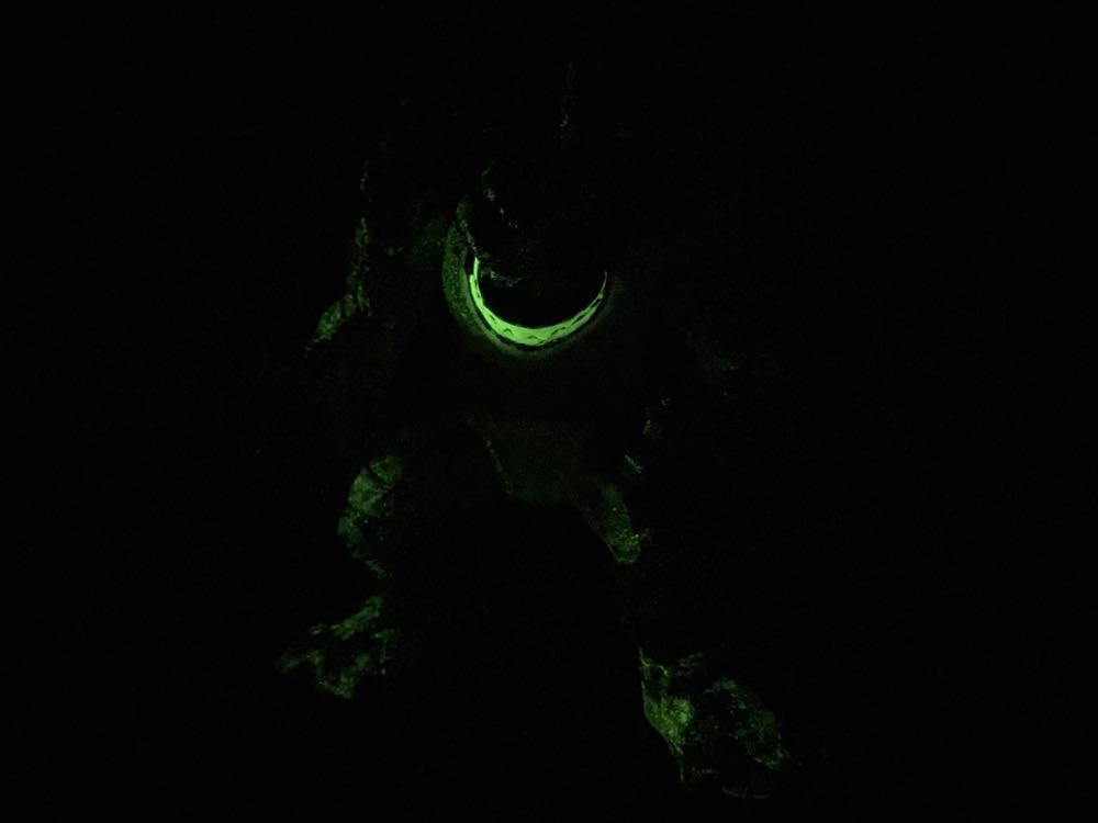 Armaggon - Yuno Dyva (Teenage Mutant Ninja Turtles) action figure collectible [Barcode 8056379010593] - Main Image 4