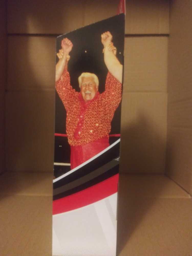 Freddie Blassie - Mattel Wwe (WWE Elite Collection) action figure collectible [Barcode 887961830019] - Main Image 4