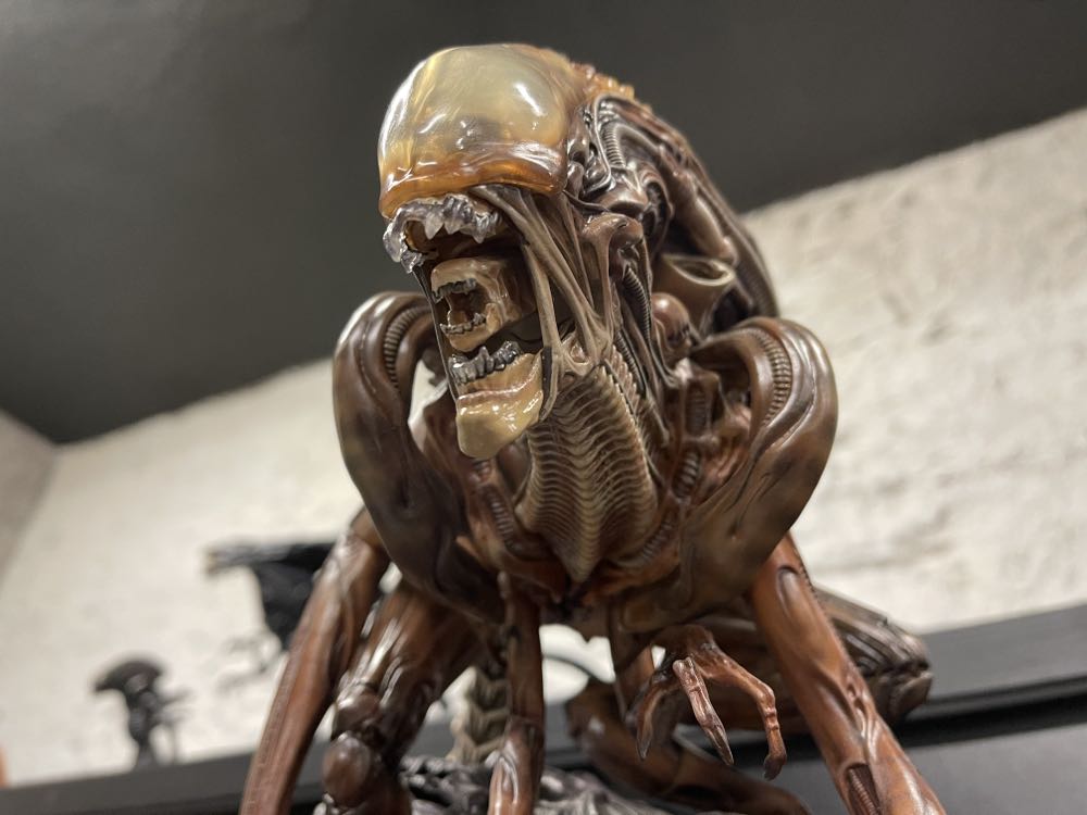 Highly Collectible Alien Alien Warrior Mythos Maquette - Sideshow Collectibles (Mythos) action figure collectible [Barcode 747720237780] - Main Image 4