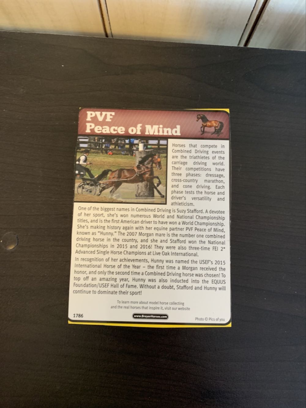 PVF Peace Of Mind  action figure collectible - Main Image 2