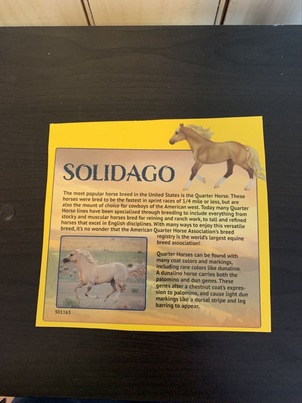 Solidago  action figure collectible - Main Image 2