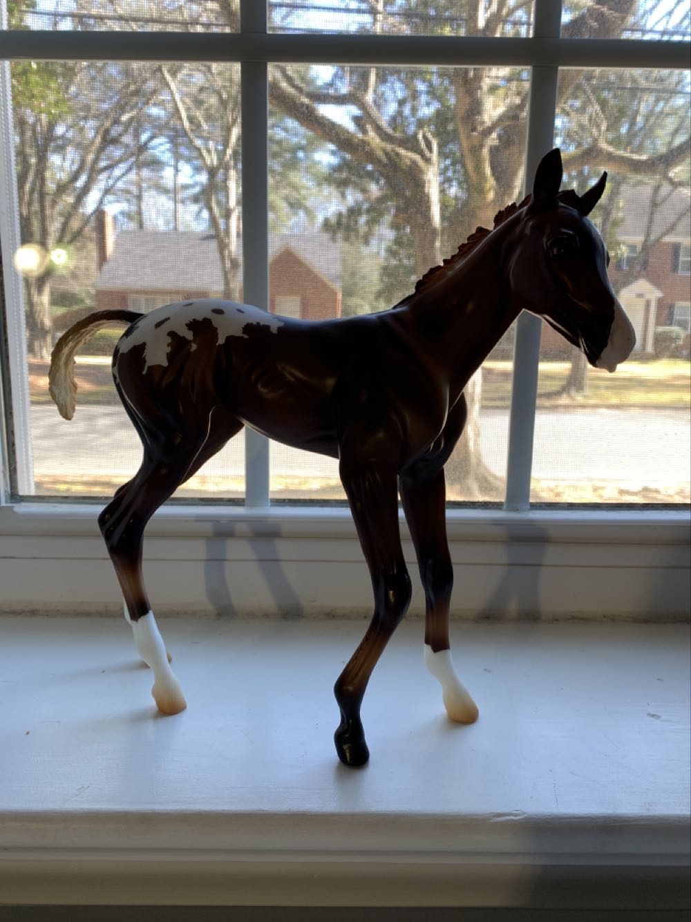 Michael Jordan Pro Shots