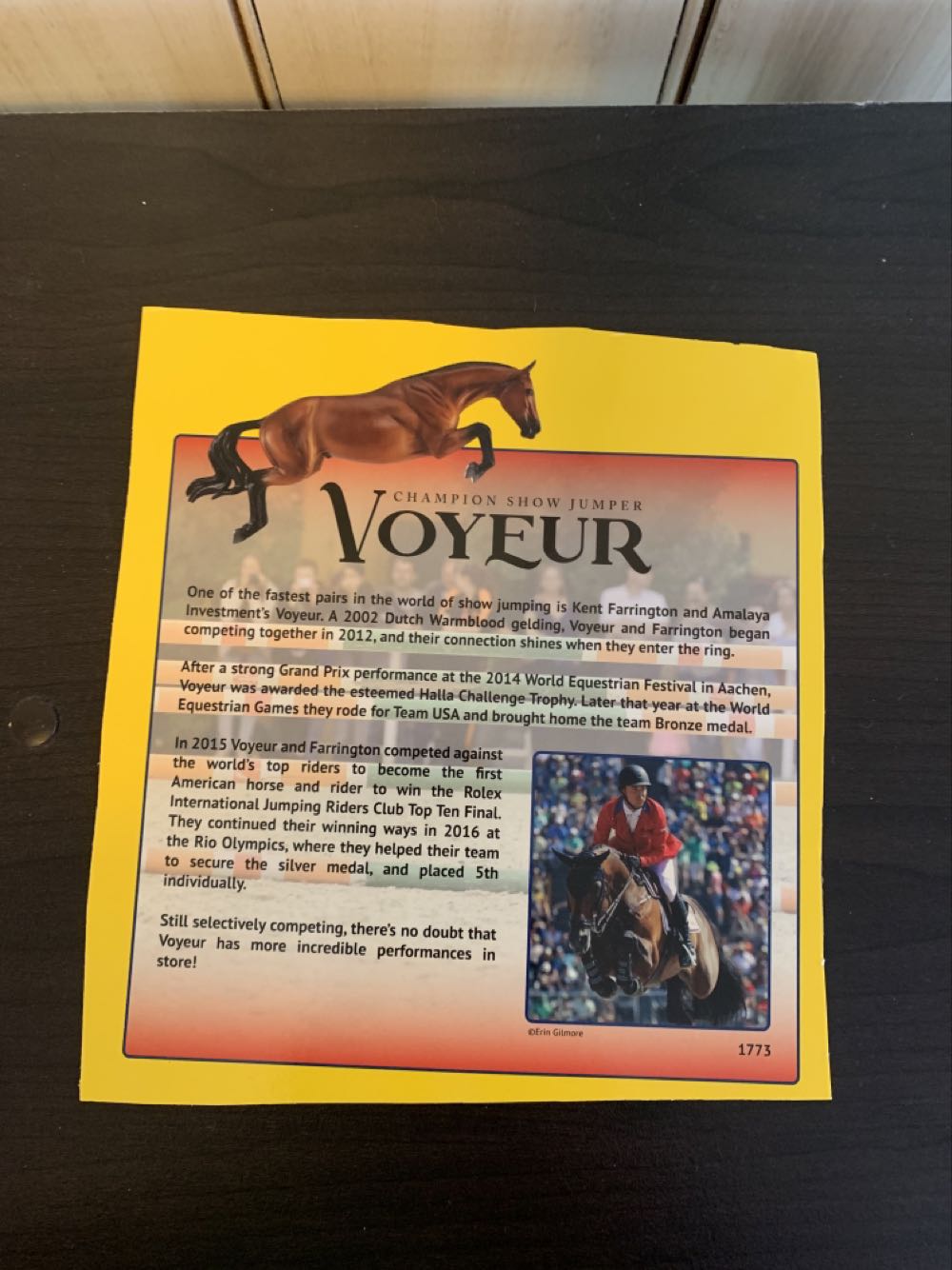 Voyeur  action figure collectible - Main Image 3