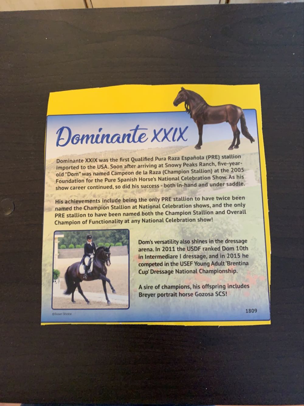 Dominante XXIX  action figure collectible - Main Image 3