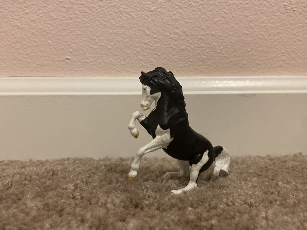 ST Roshanna  action figure collectible - Main Image 2