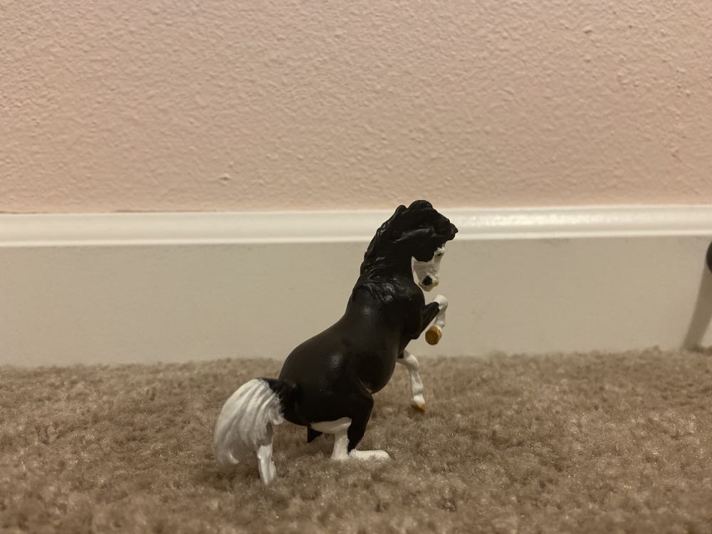 ST Roshanna  action figure collectible - Main Image 3