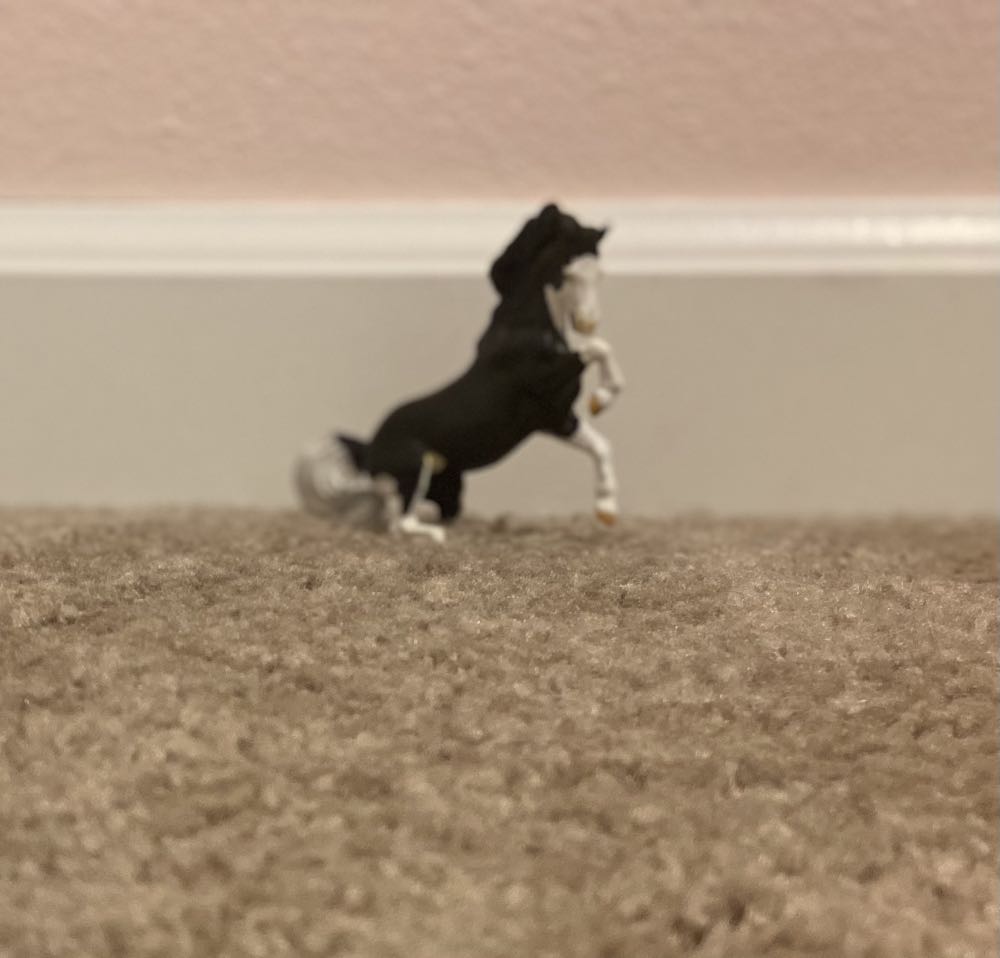 ST Roshanna  action figure collectible - Main Image 4