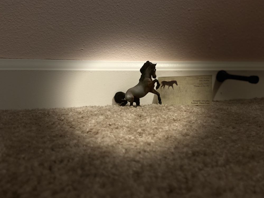 Image 115987