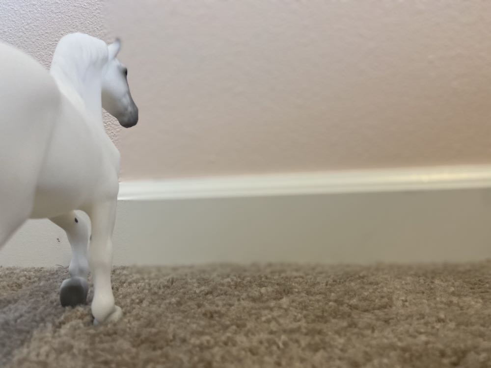 TSC Model - ST Shadowfax  action figure collectible - Main Image 4