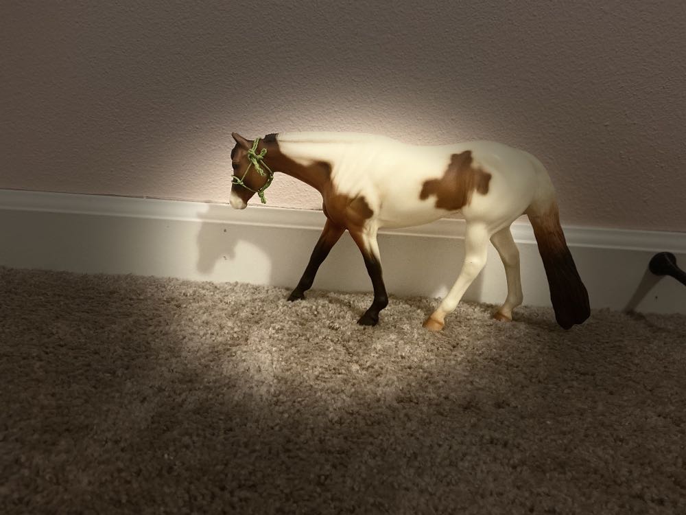 Image 116111