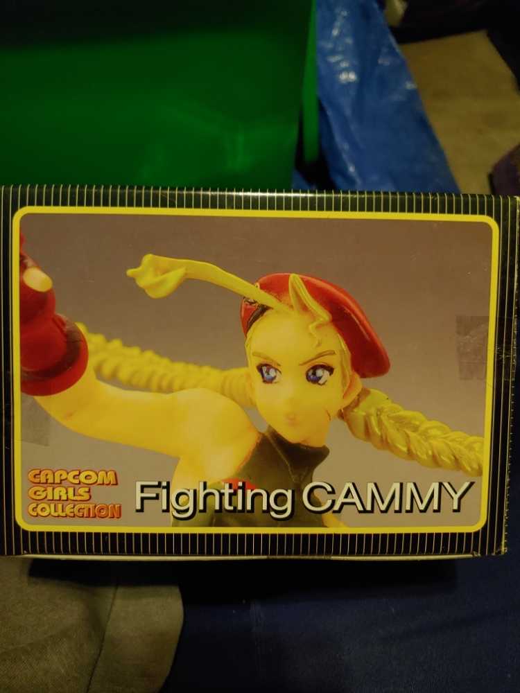 Fighting Cammy - Capcom action figure collectible [Barcode 693904338272] - Main Image 4