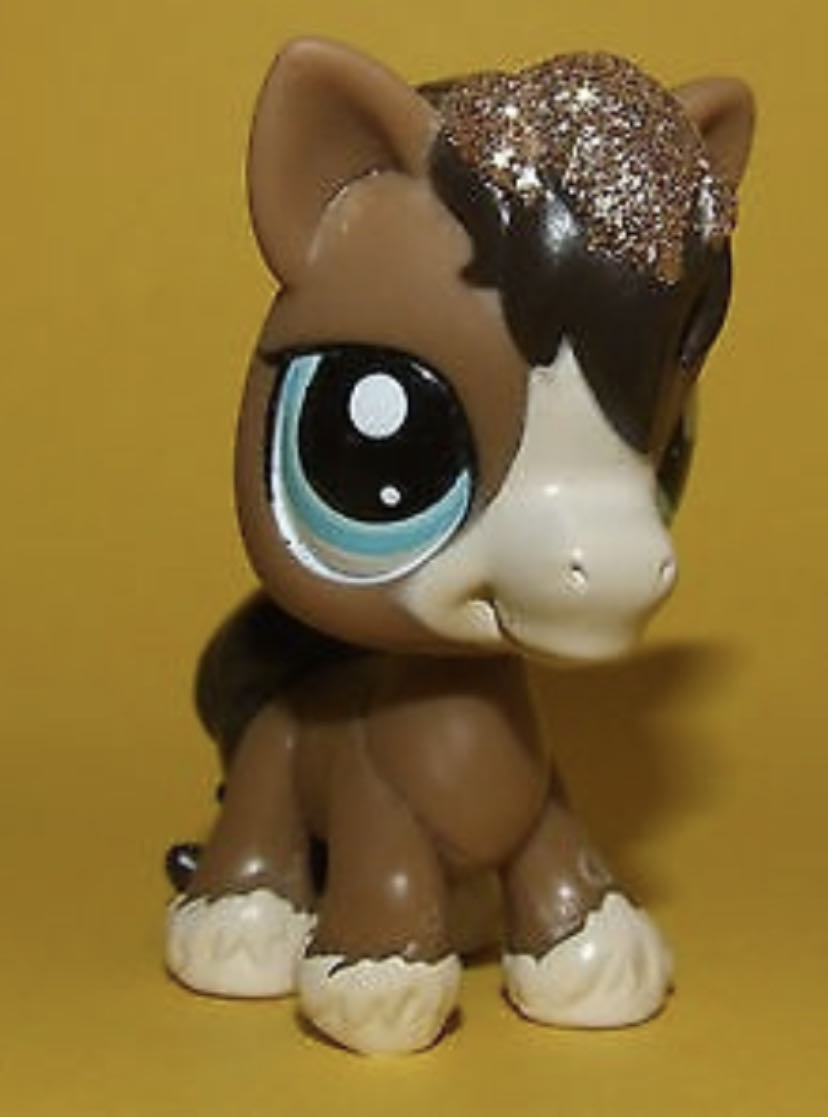 13669 ”andalusian Foal” Andalusian Foal”