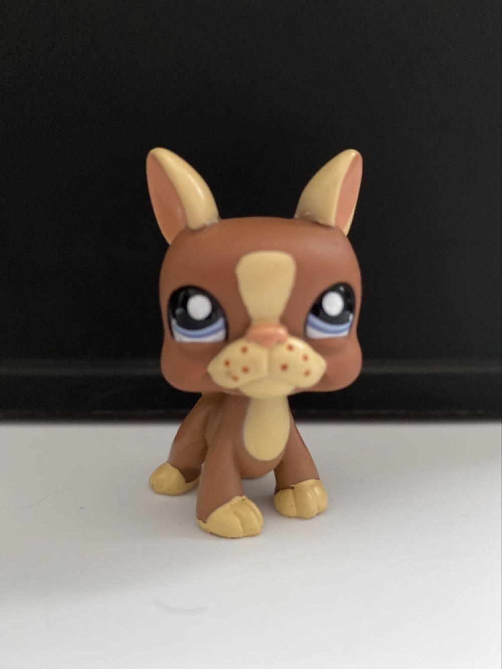 Maryse Elite Spotlight