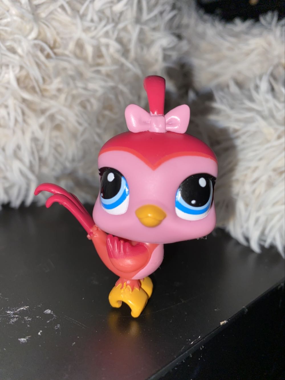 13669 ”andalusian Foal” Andalusian Foal”