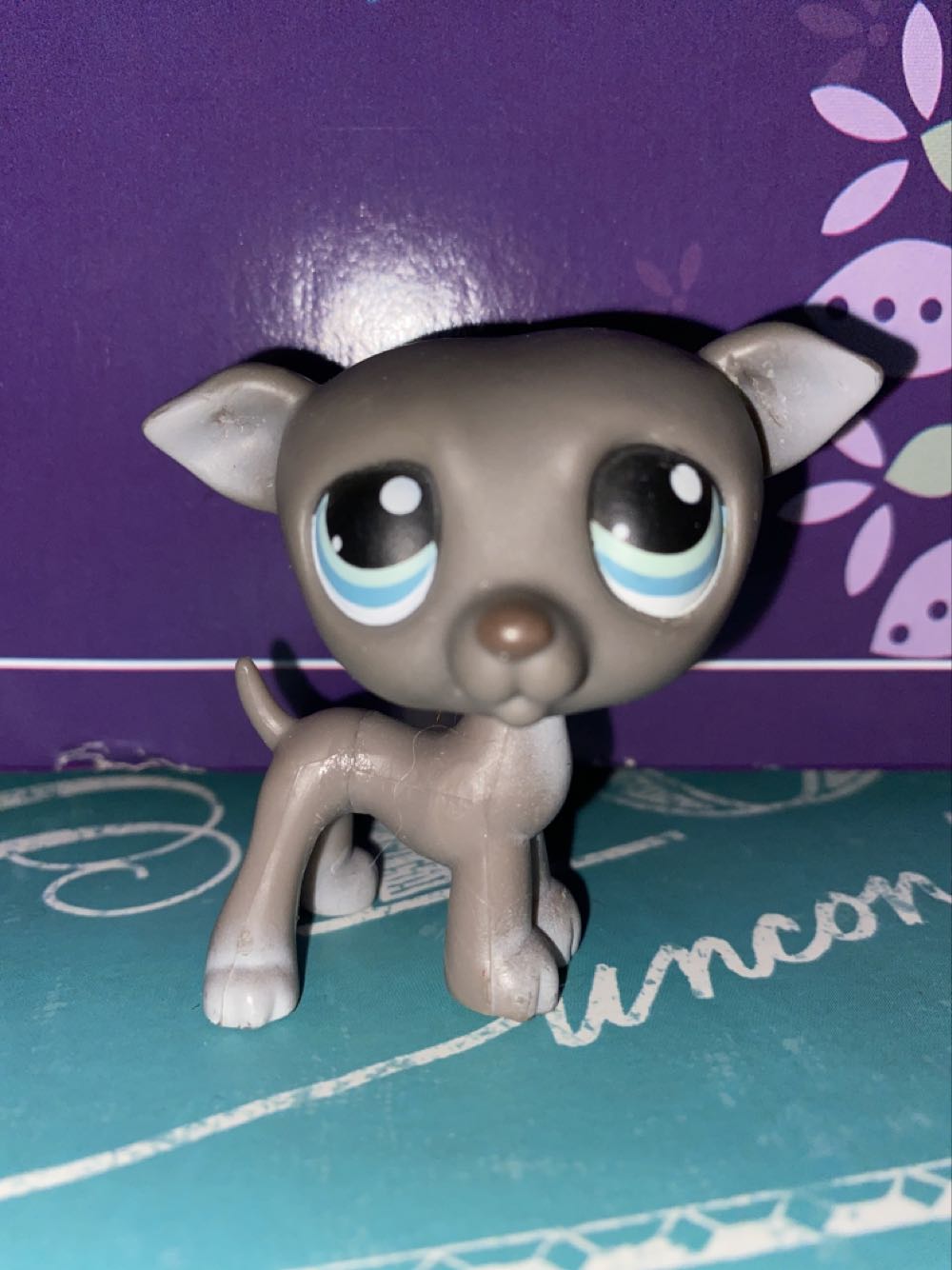 Alien Vs. Predator: The Ultimate Showdown Dvd Collector’s Set