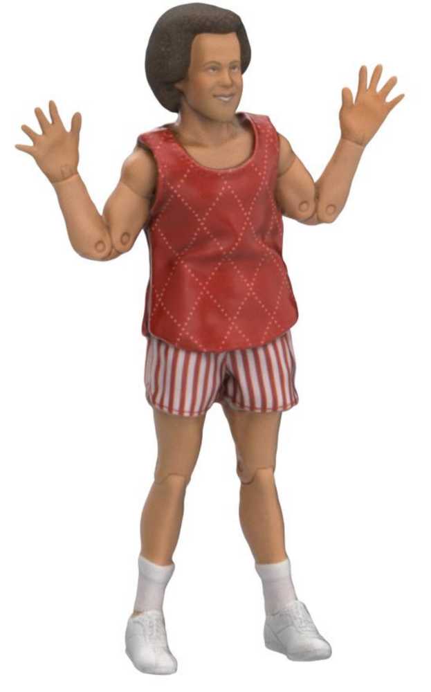 Neca Richard Simmons Clothed Action Figure  action figure collectible [Barcode 634482449134] - Main Image 4