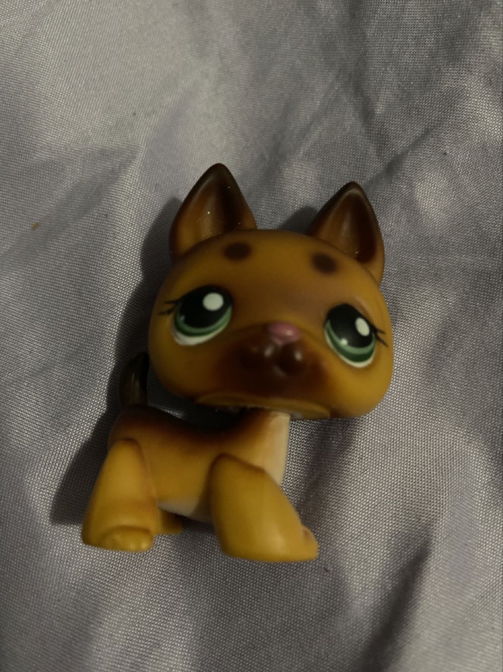 Generations Selects Dominus Criminal Pursuit