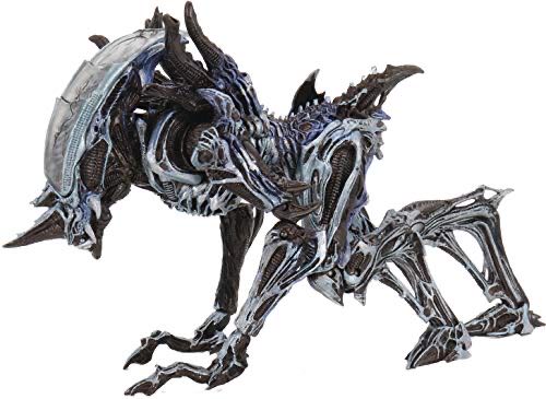 Matt Jackson Unrivaled Series 3 #23