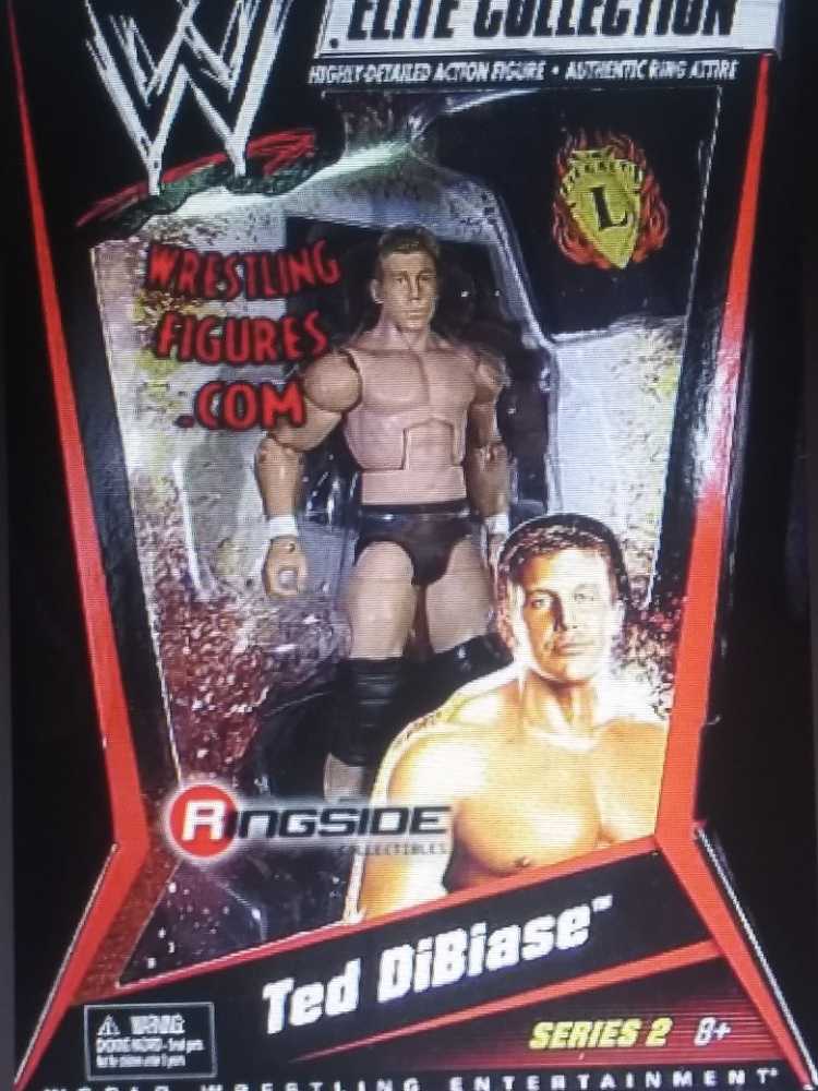 WWE: World Wrestling Federation Slam Cam