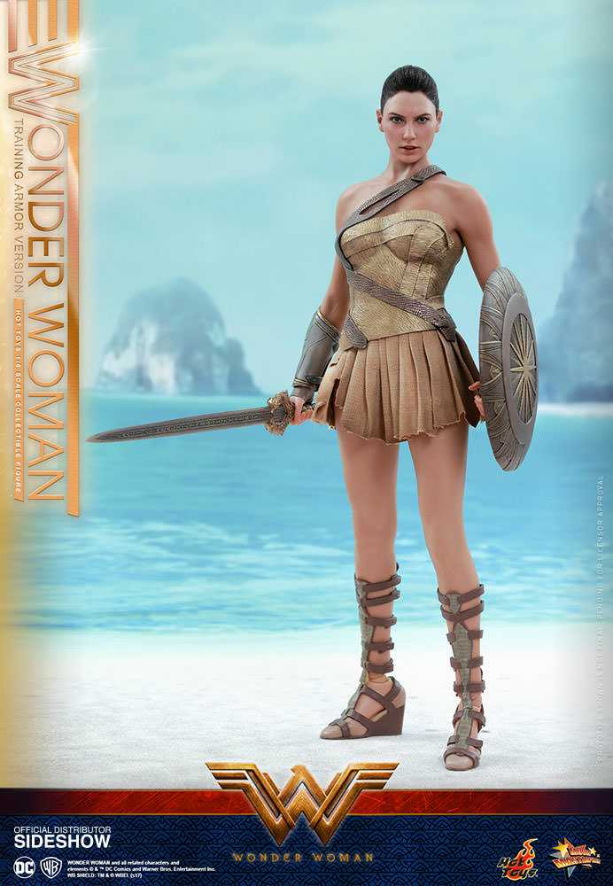 Wonder Woman, Training Armor Version, Wonder Woman (MMS424) - Hot Toys (Wonder Woman (2017)) action figure collectible - Main Image 2