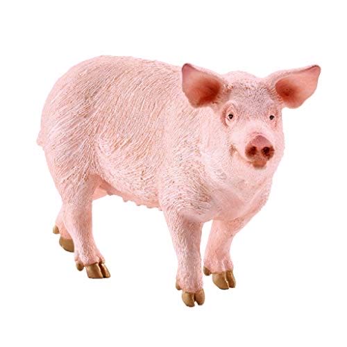 Image 118687