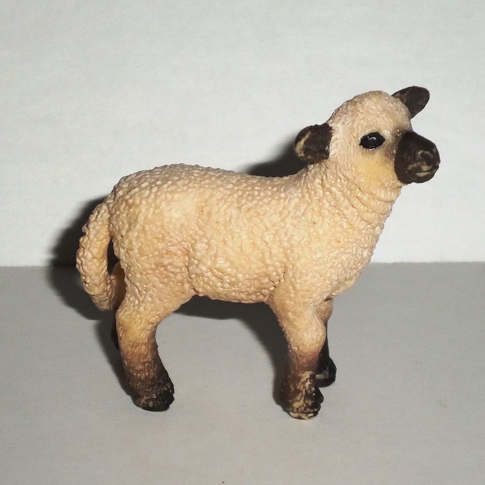 Image 118689