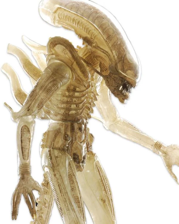 Alien: Big Chap Translucent Prototype Suit Concept Series 7 79 1/4 Scale Alien (Resurrection) - Neca (Space/Horror) action figure collectible [Barcode 634482516263] - Main Image 3