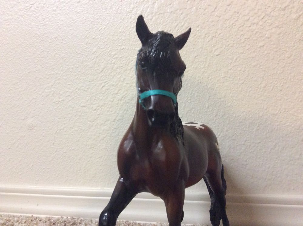 Breyer Horse Lapwai TSC Special Run  action figure collectible - Main Image 4