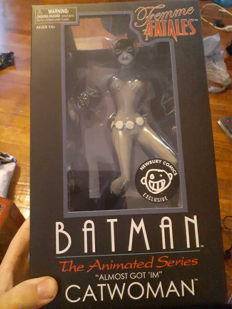 Collectible Vinyl Art Leonardo