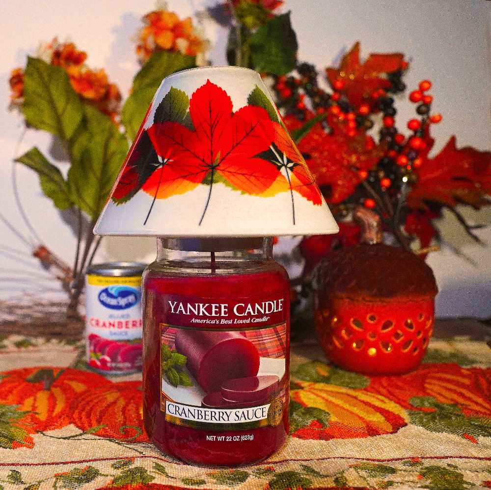 CANDLE: Thanksgiving Yankee Cranberry Sauce 2013 - Yankee Candle (Thanksgiving Candles) action figure collectible - Main Image 3