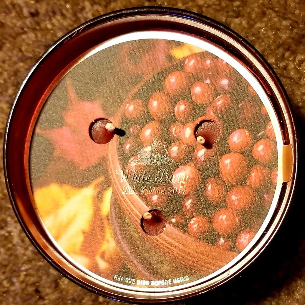 CANDLE: Thanksgiving Bath & Bodyworks Thanksgiving Feast - Frosted Cranberry  2014 - Bath & Bodyworks Candle (Thanksgiving Candles) action figure collectible - Main Image 3