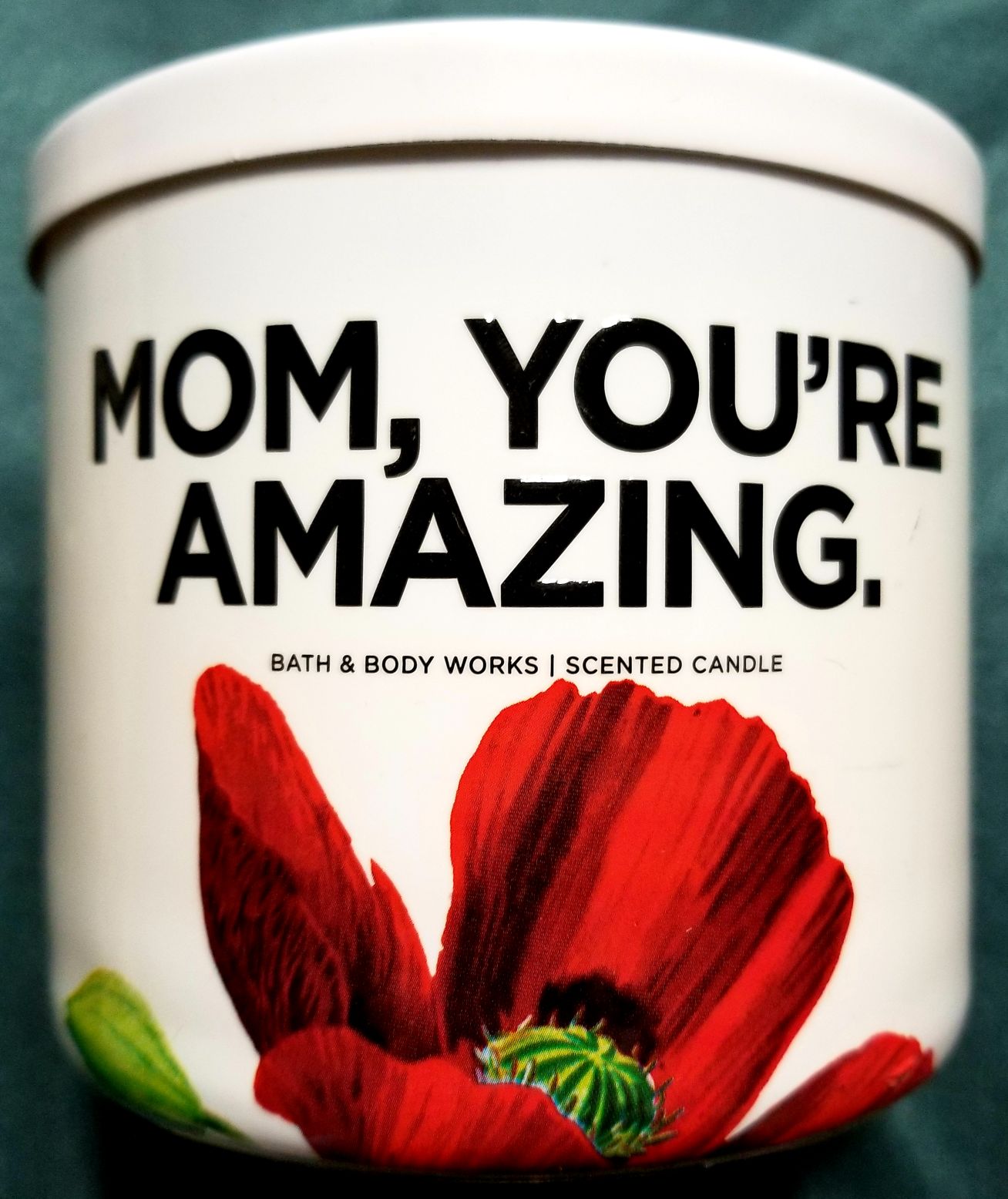 Biker Scout & Speeder Bike