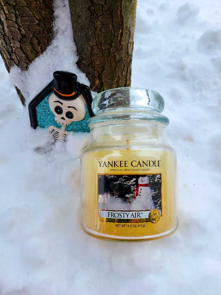 CANDLE: Christmas Yankee Frosty Air 2010 - Yankee Candle (Christmas Candles) action figure collectible - Main Image 3