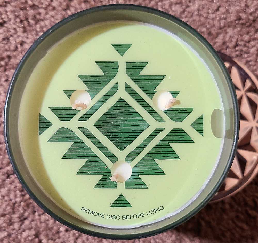 CANDLE: Desert Bath and Bodyworks Wild Sage & Aloe 2016 - Bath & Bodyworks Candle (Desert Candles) action figure collectible - Main Image 3