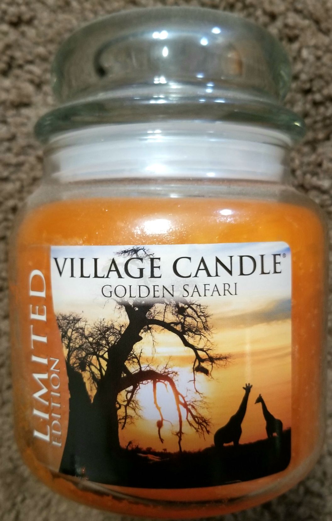 Princess Leia (Bespin Escape)