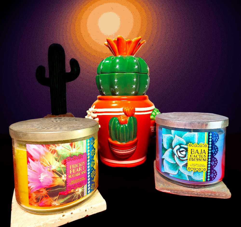 CANDLE: Desert Bath and Bodyworks Prickly Pear & Sugarcane 2015 - Bath & Bodyworks Candle (Desert Candles) action figure collectible - Main Image 3